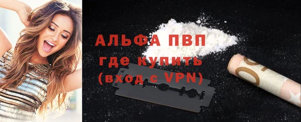спиды Инта