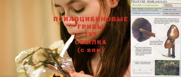 спиды Заволжск