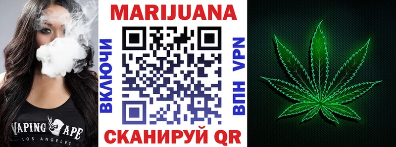 Купить  Прохладный  Конопля сатива 
